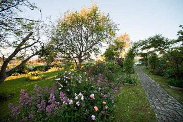 Westella Colonial B&B Accommodation อัลเวอร์สโตน ภายนอก รูปภาพ